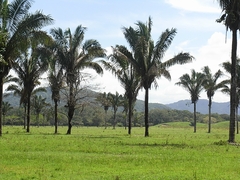 Ebene - Costa Rica
